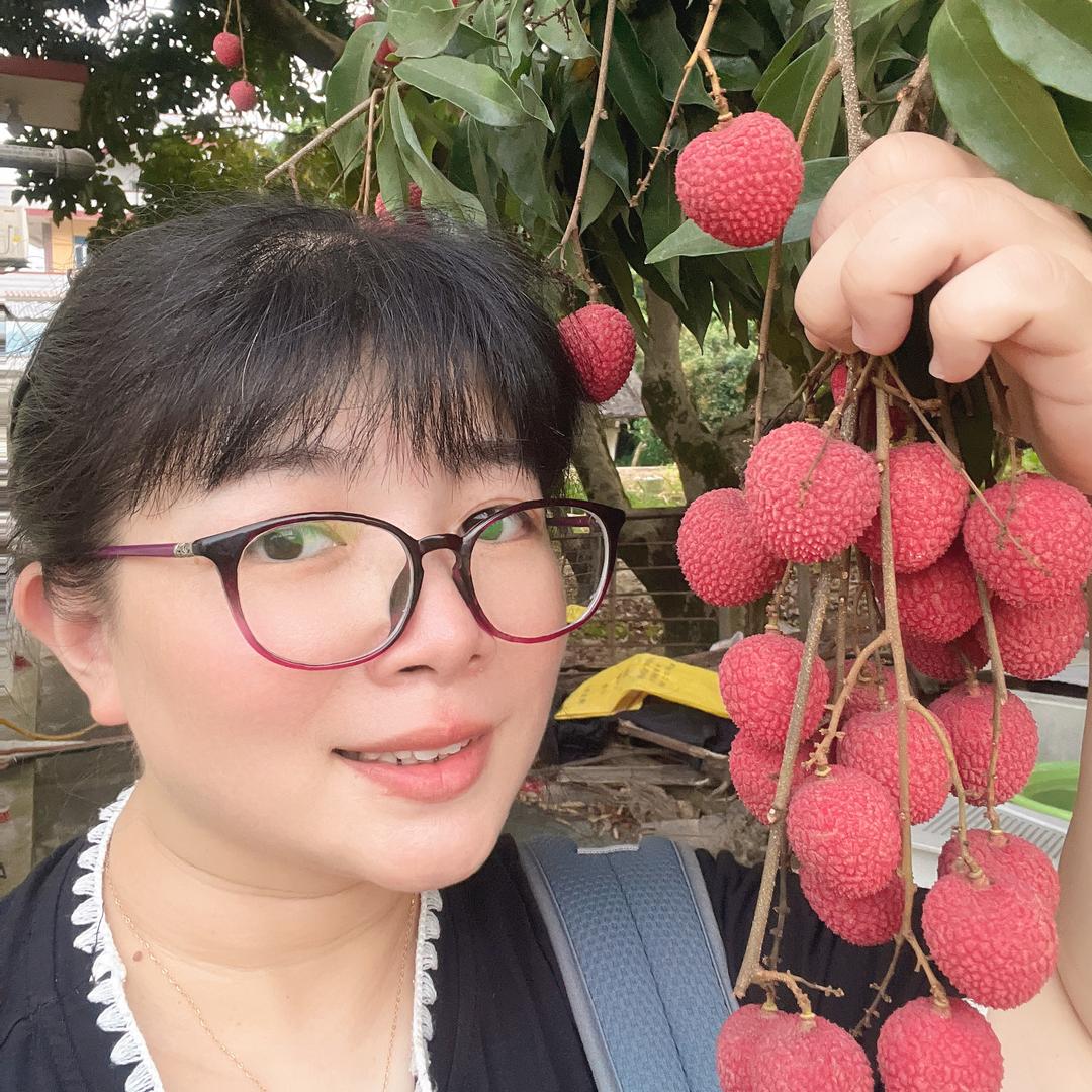 春野果香（自家果园，岵山荔枝）
