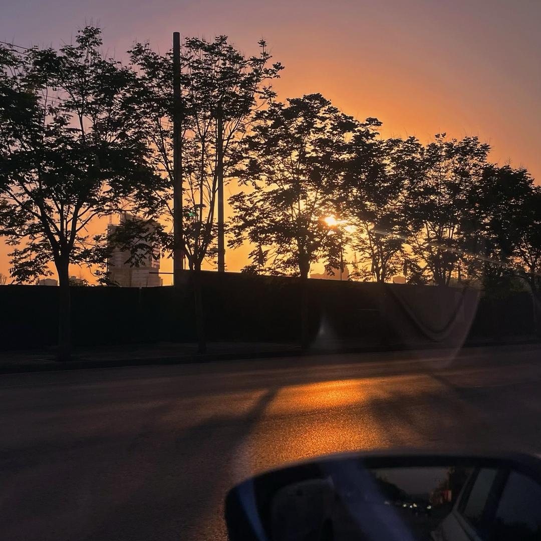 潼南 ·木
