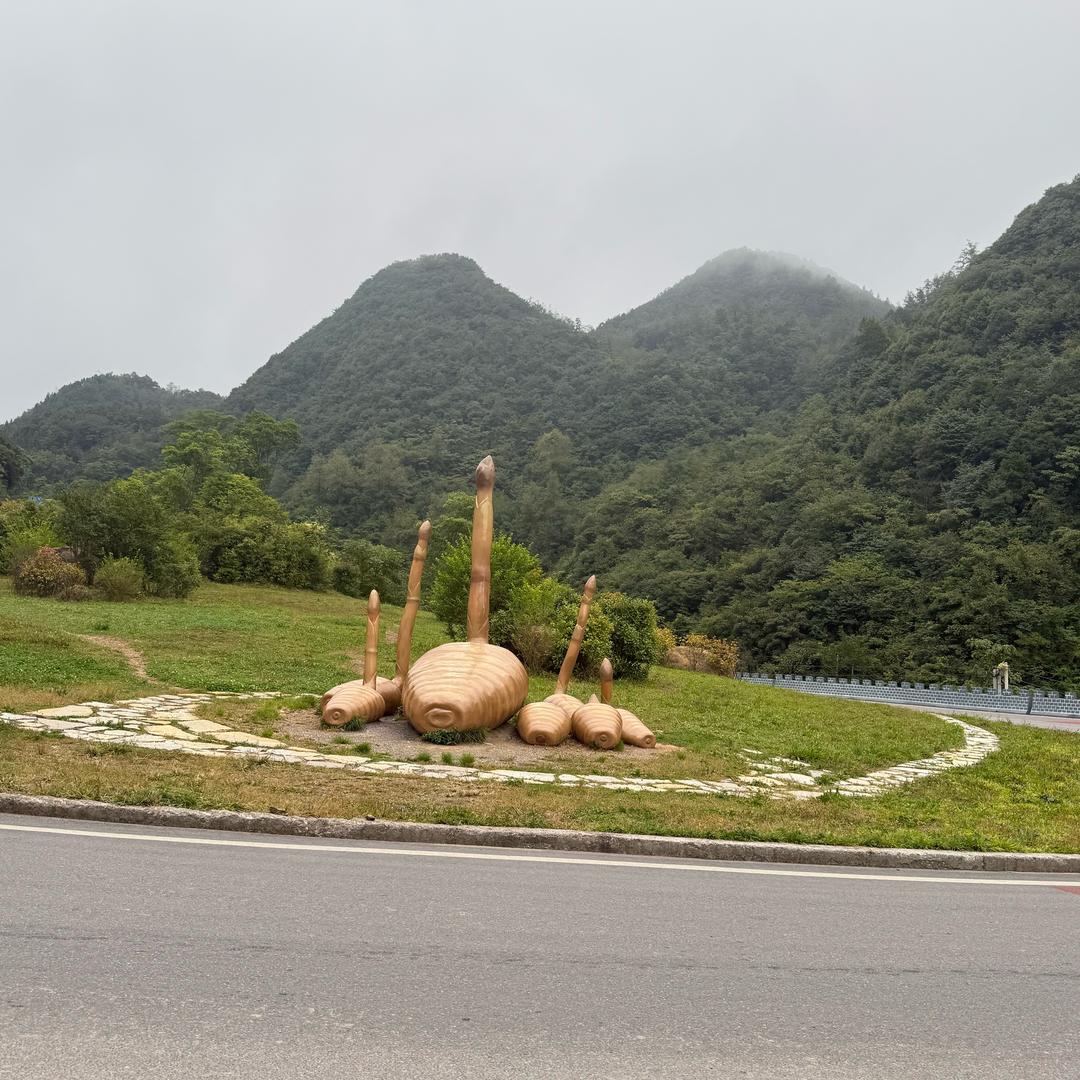 土特农产品自产自销