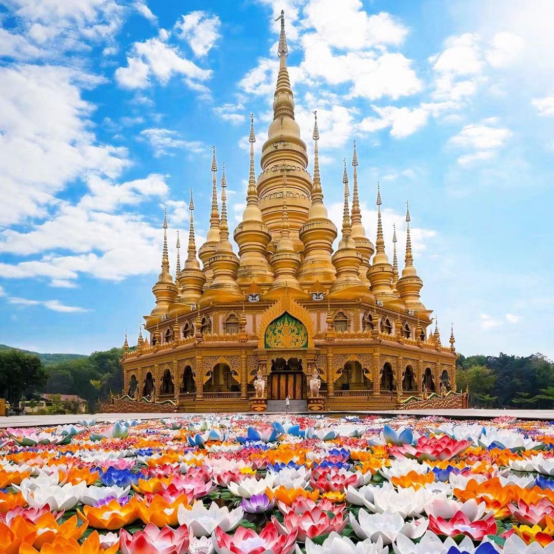 🐦‍🔥仁者乐山🏔️