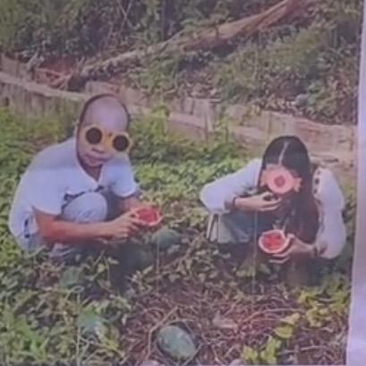 张艺星