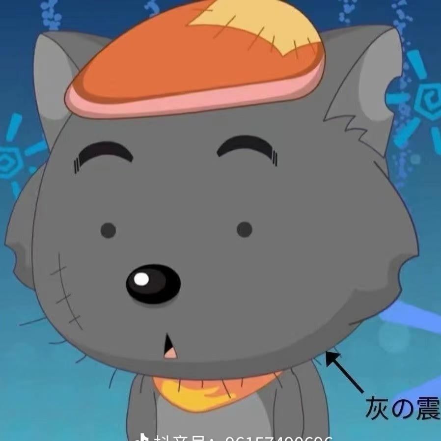 墙之外是海