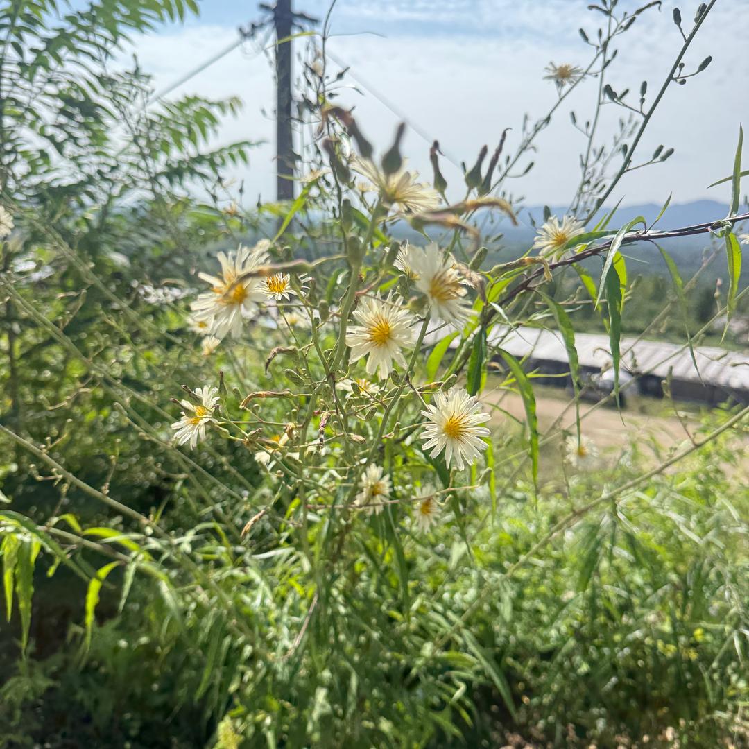 人间清醒