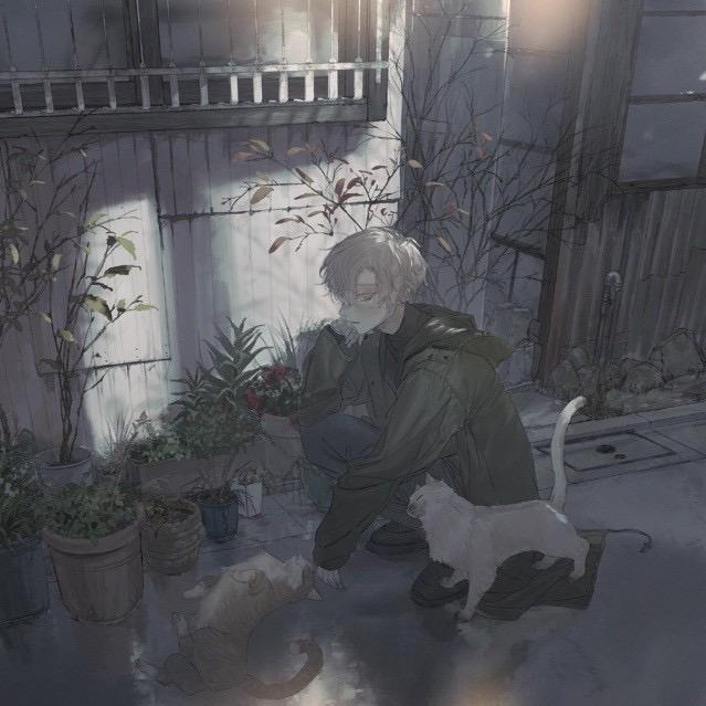 眉绾