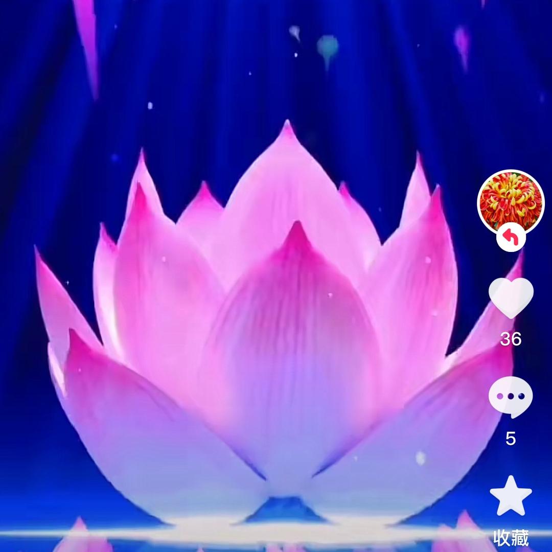 豪情：雲水禅心：（娜）7777777