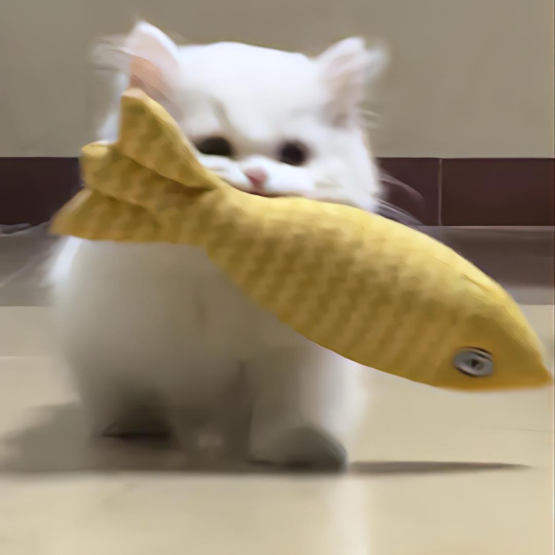 喵喵爱吃鱼🐟