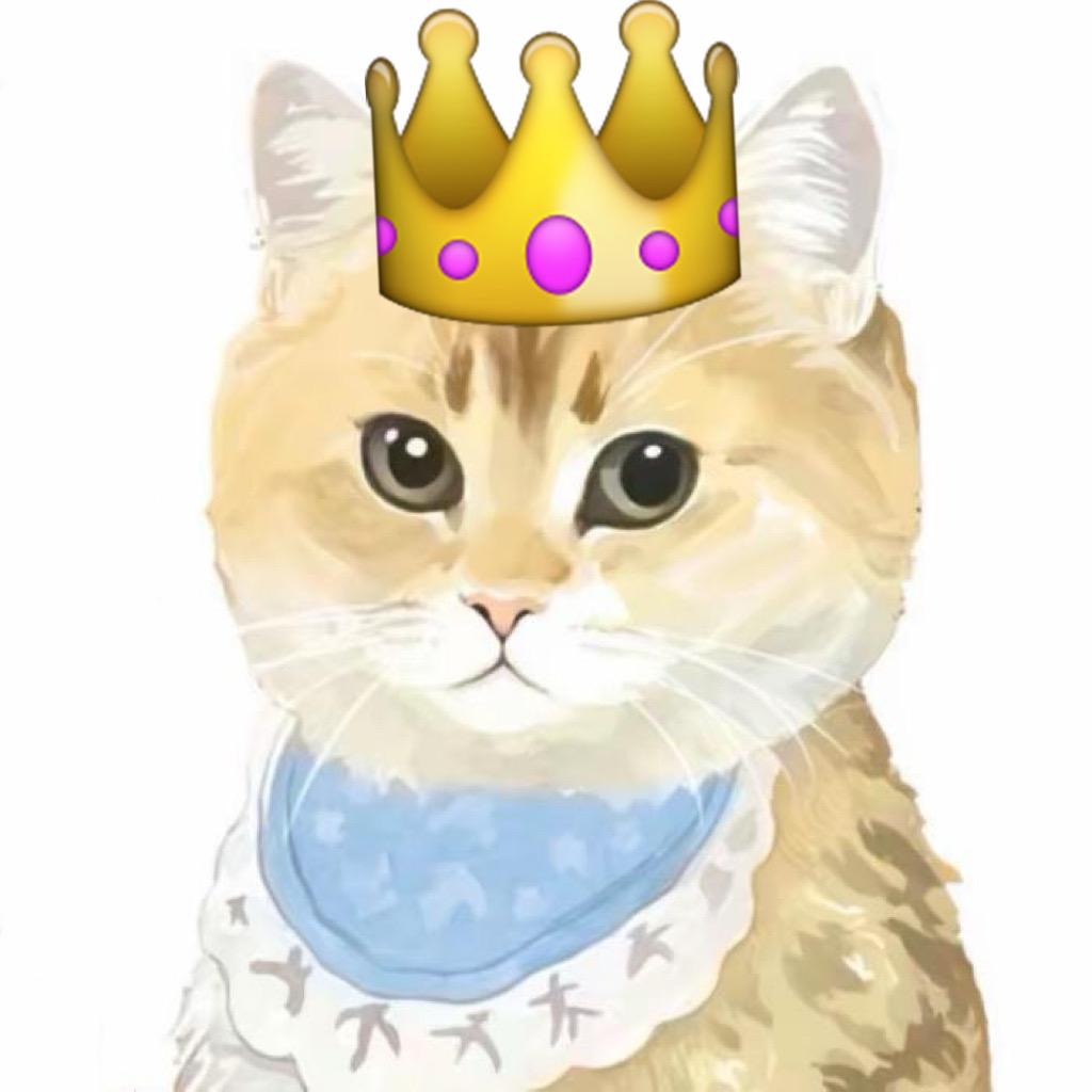 今天蛋挞宠幸我了吗