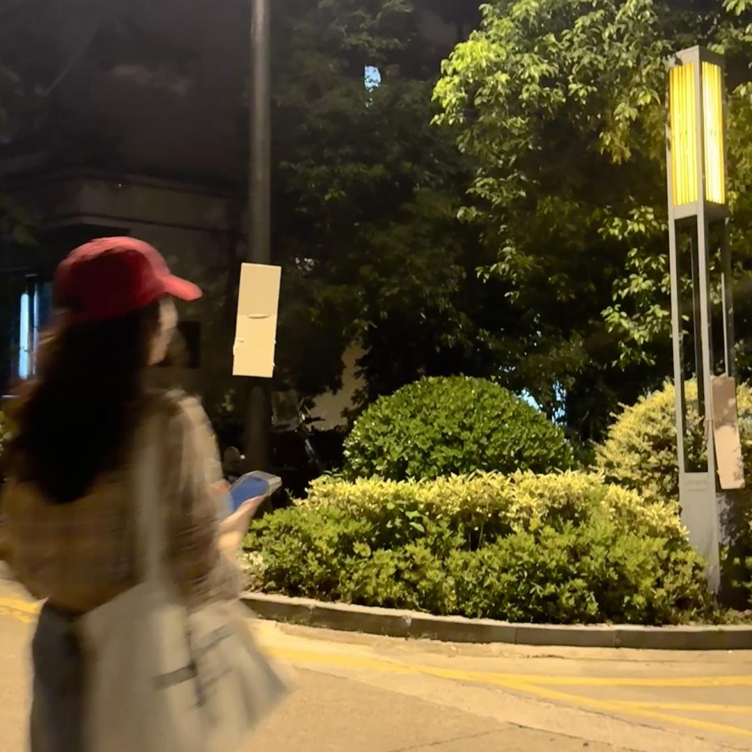 栽培西红柿的人