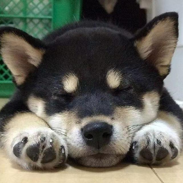 狼牙001
