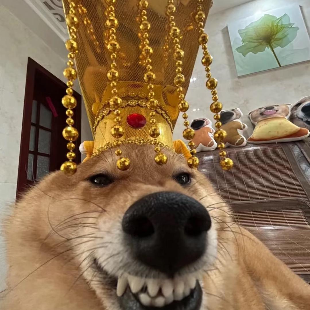 w ri y