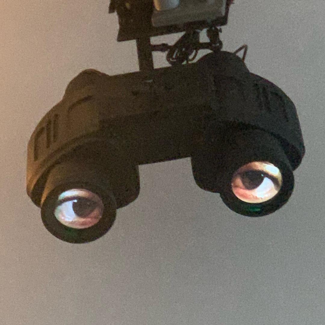 欲扬先抑