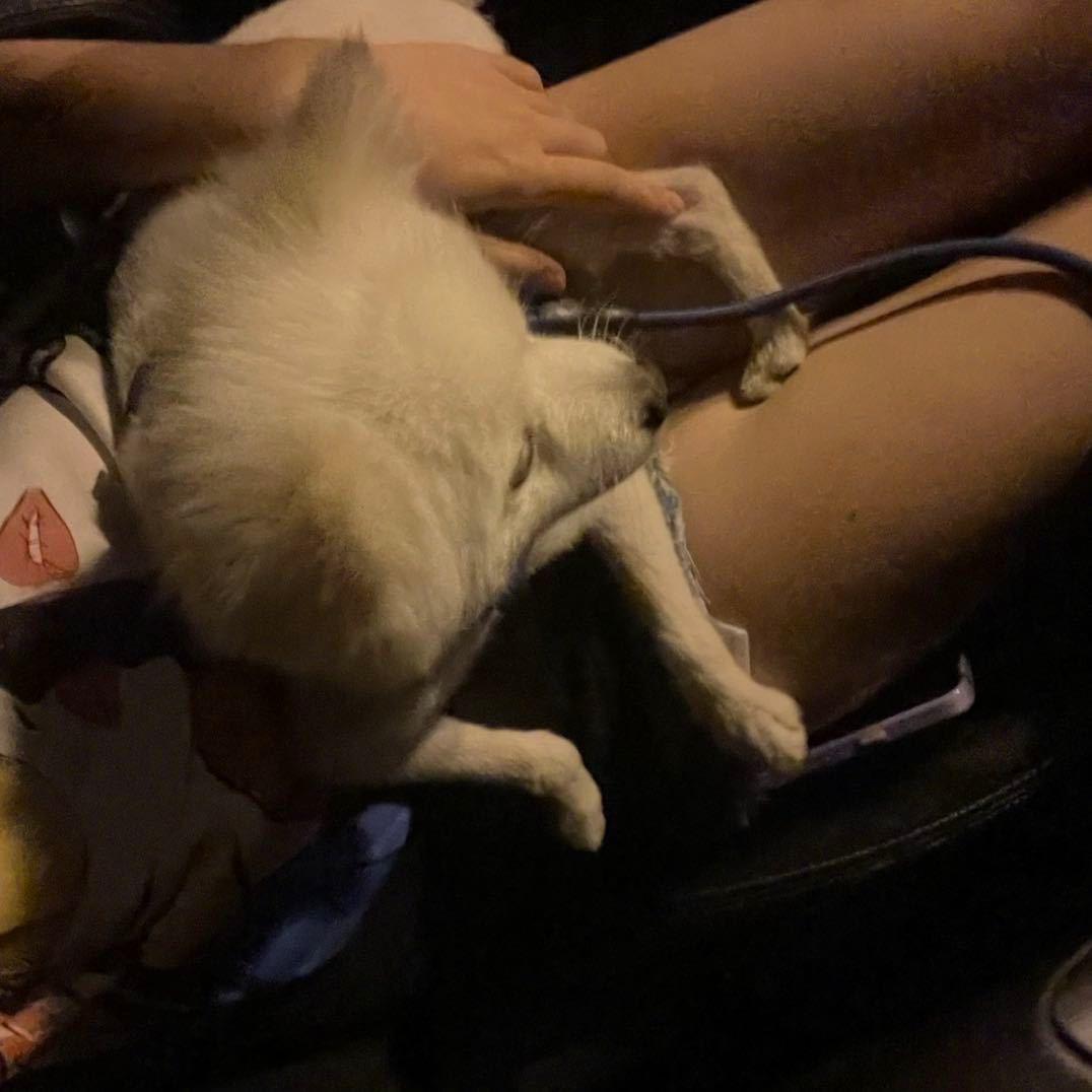 美权DIY饰品潮玩店