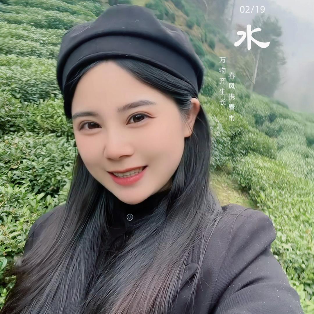 叶立方茶叶旗舰店