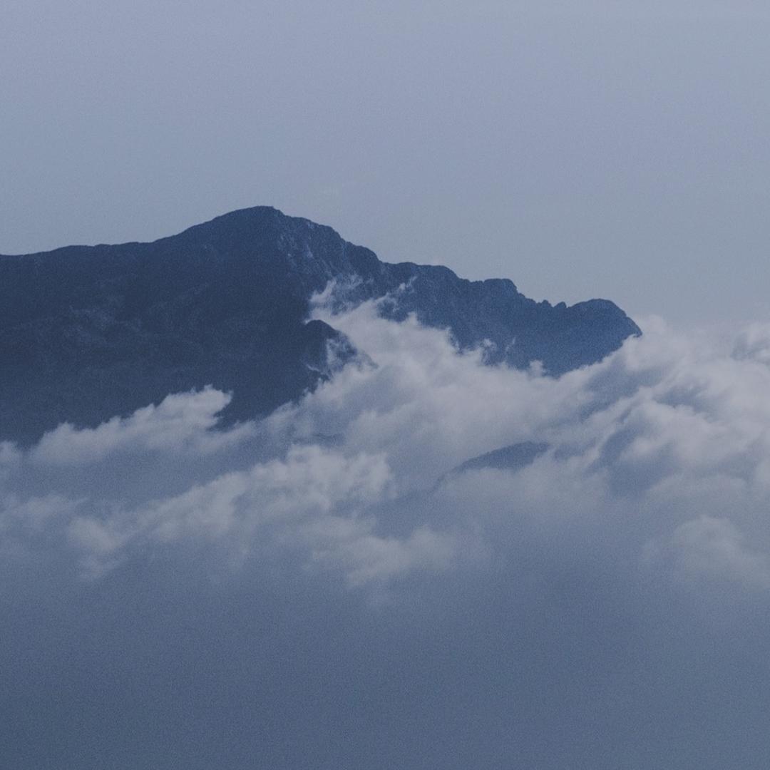 董学敏