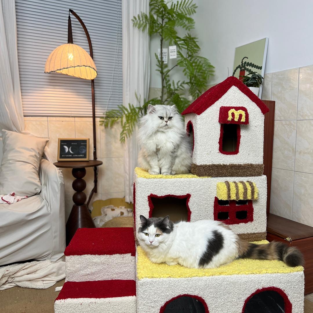 十一是只贪吃猫🐱