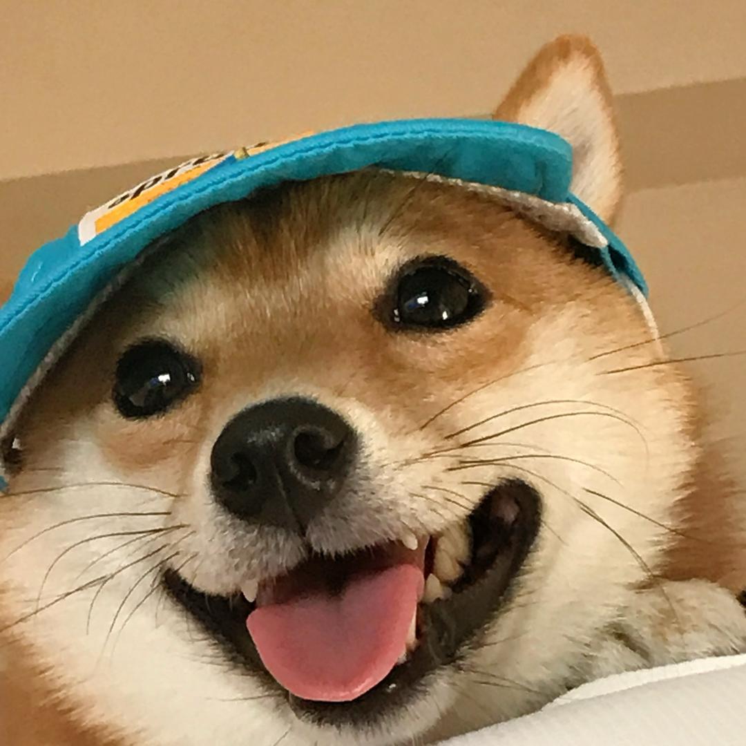 多福和面面