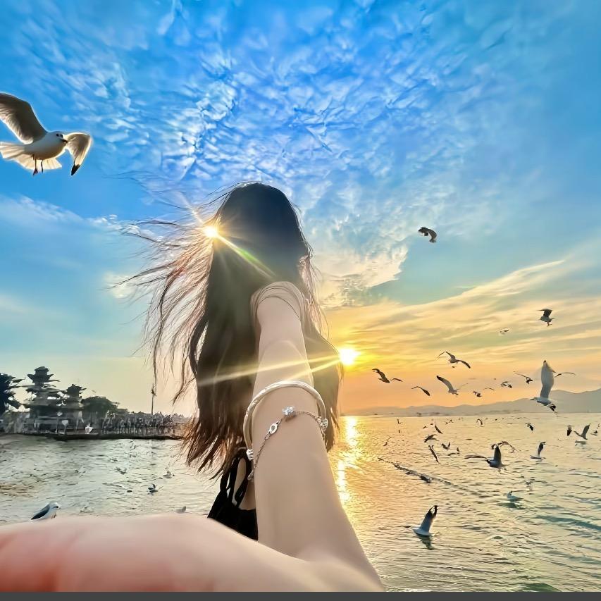 中海红木 旭日东升