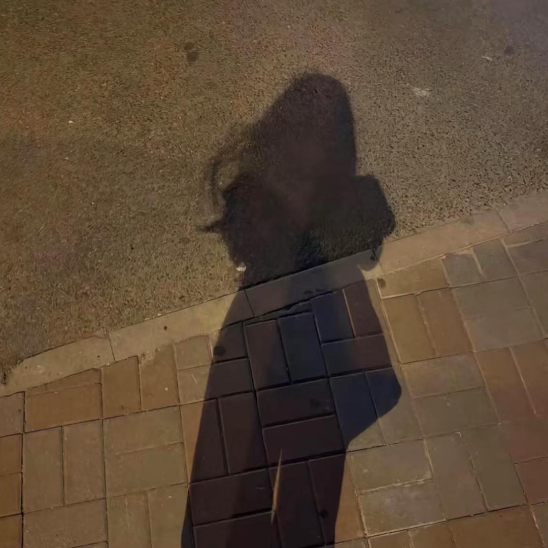 ᥫᩣ 小泡胡