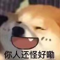 不能在酷了