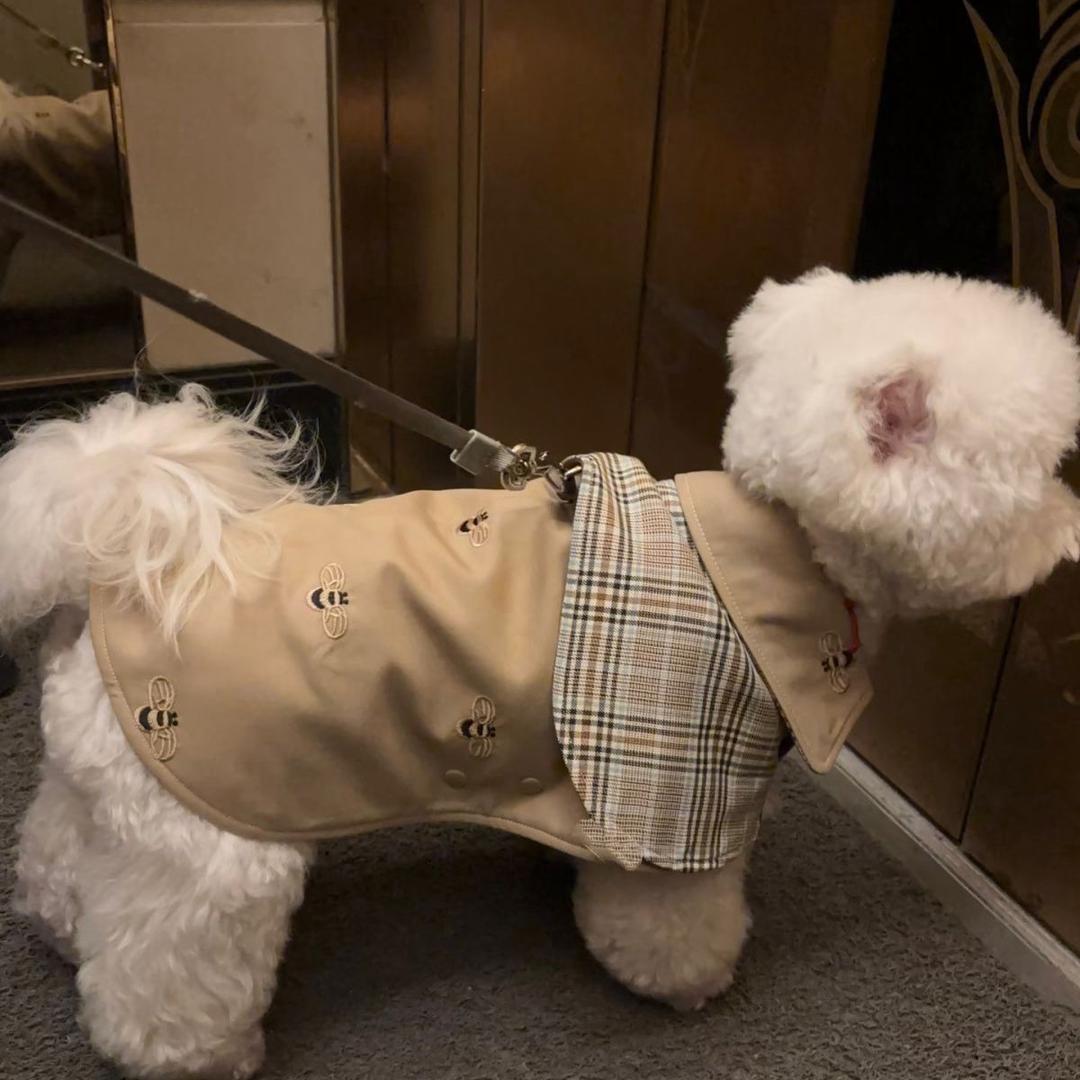 毛孩穿搭实验室