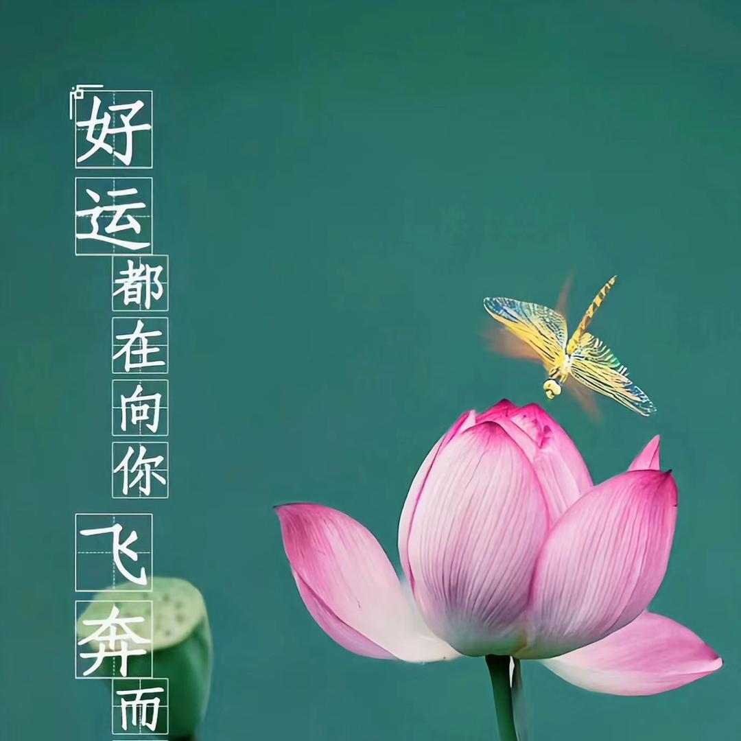 元吉师姐