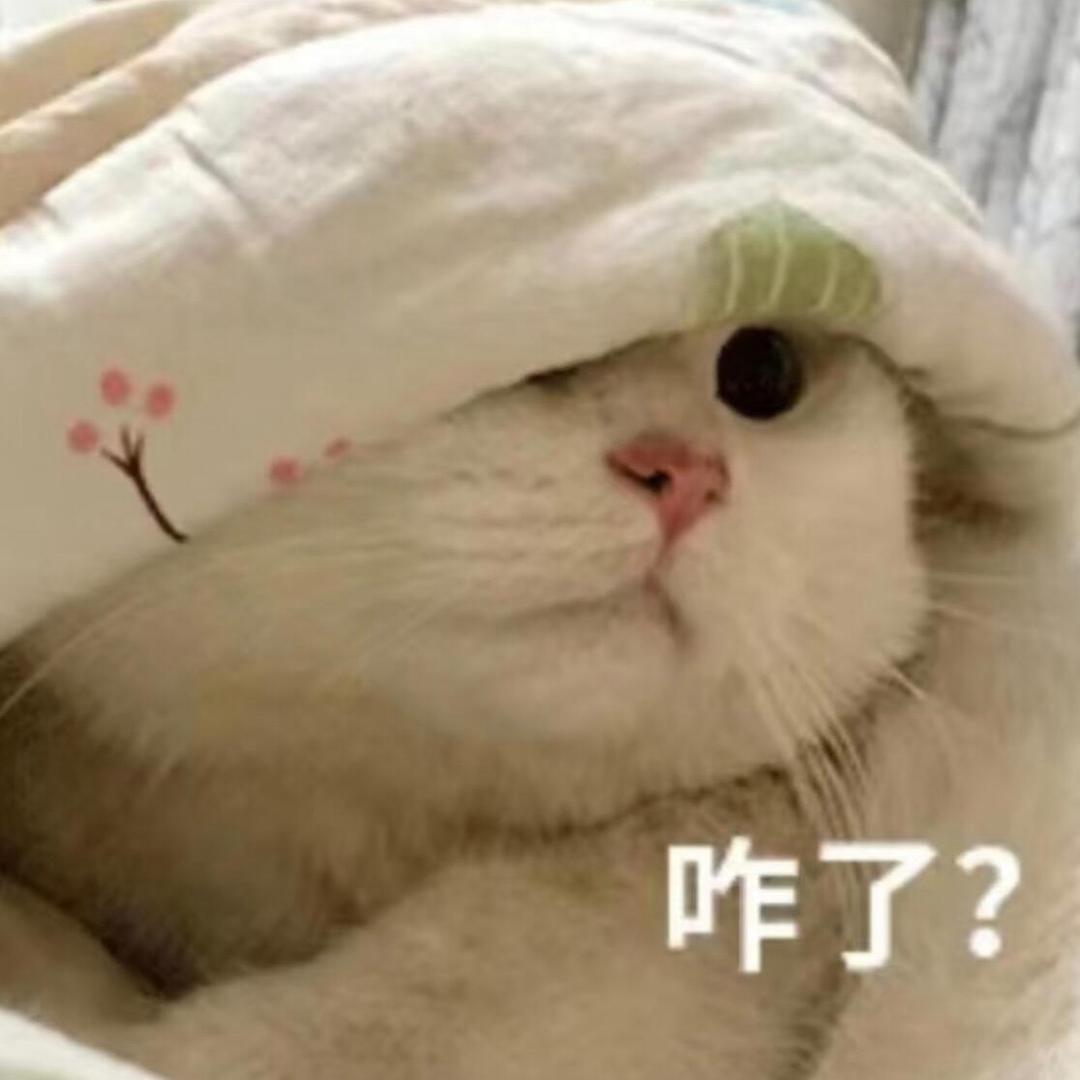 疏雨绵绵