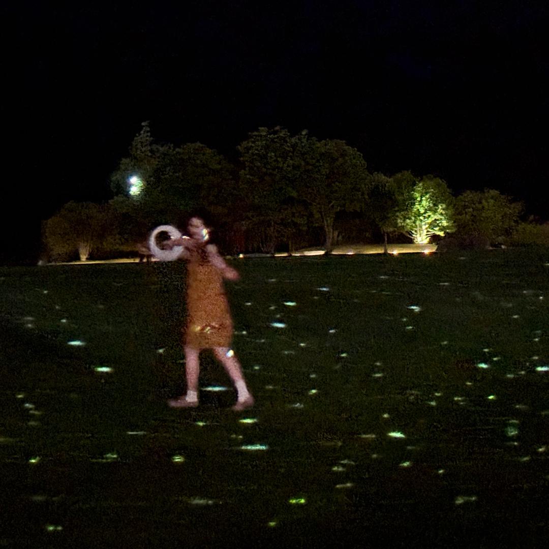 甜甜花菜