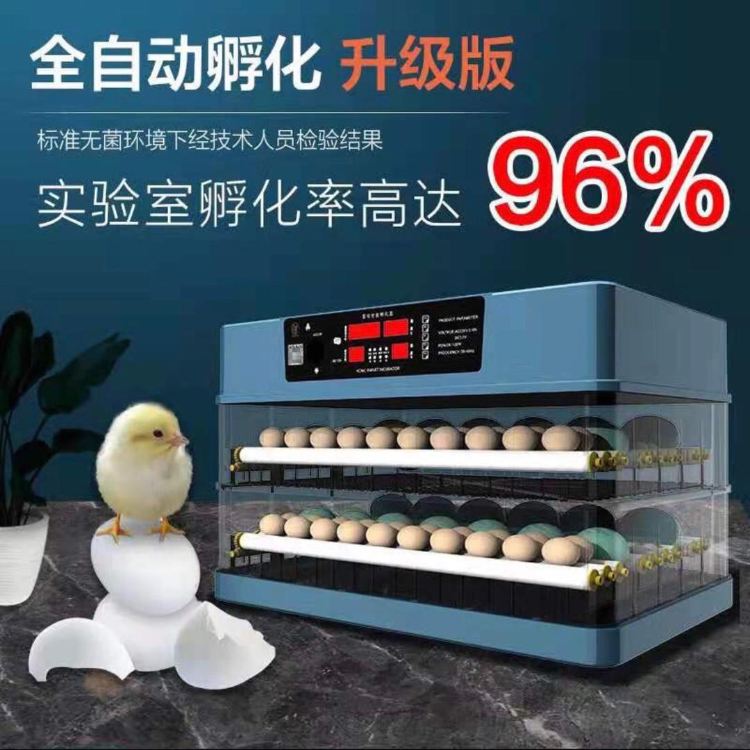 全自动孵化机源头工厂