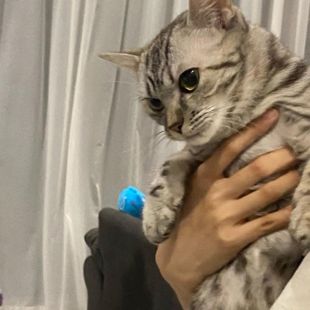 程寶baby🎀
