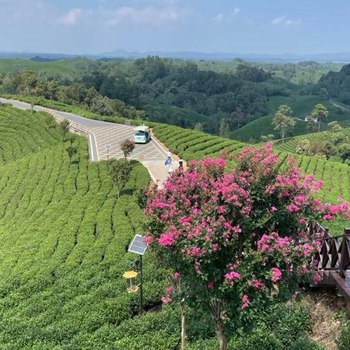 同🤝城结🏌️‍♀️伴