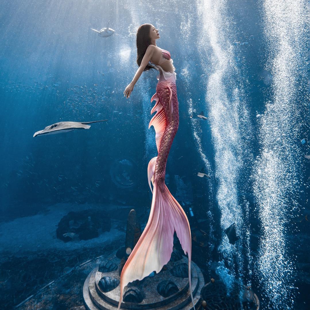 Mermaid安向鹿
