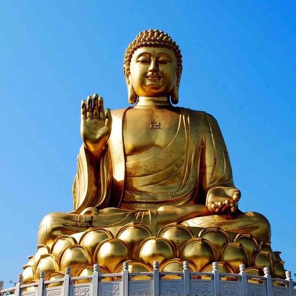 导善
