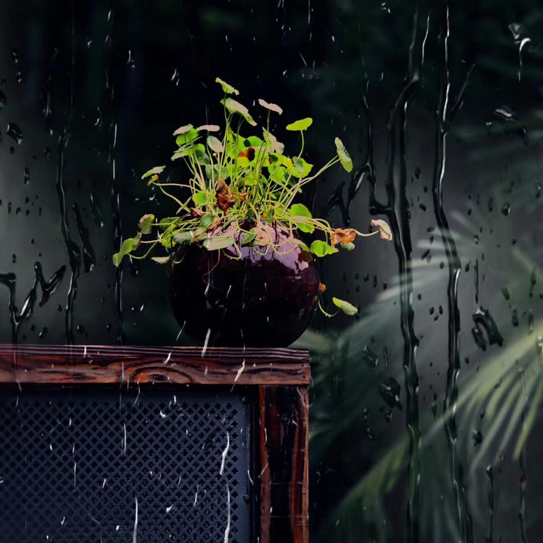 一一
