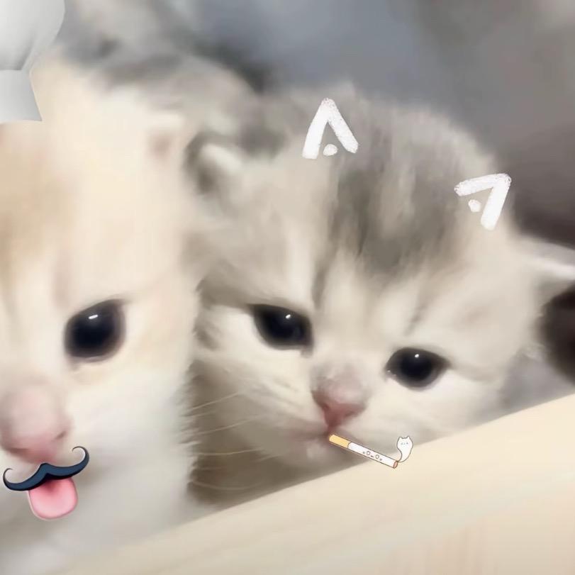 我的世界好想你