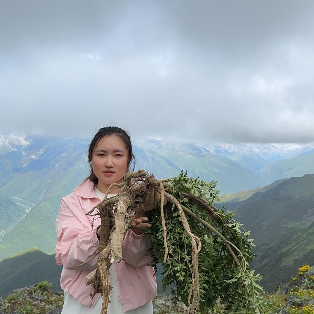 小艺搬山货