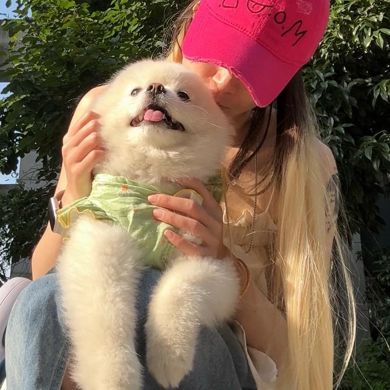 我叫狗子🐶