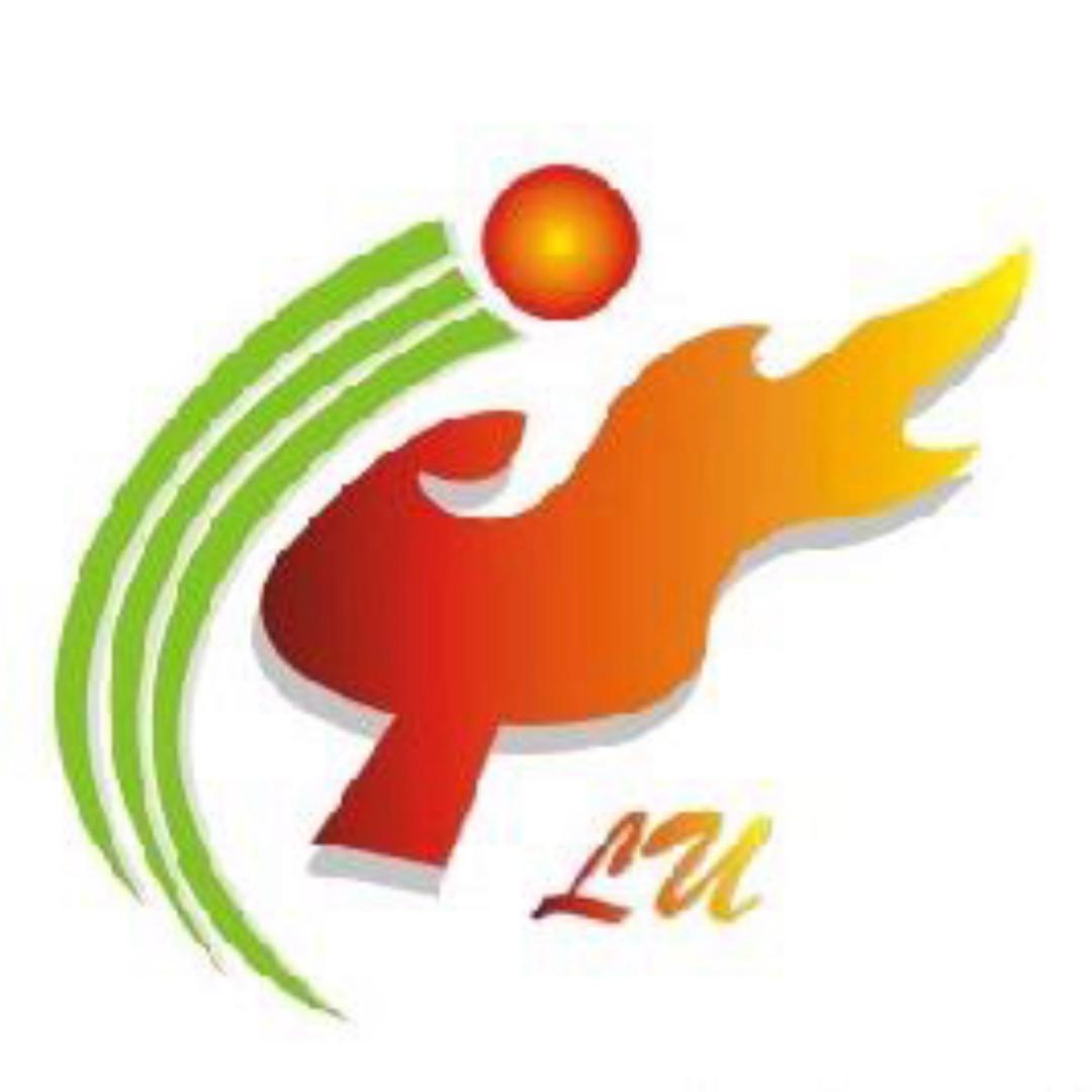 卢轩国球乒乓球训练基地