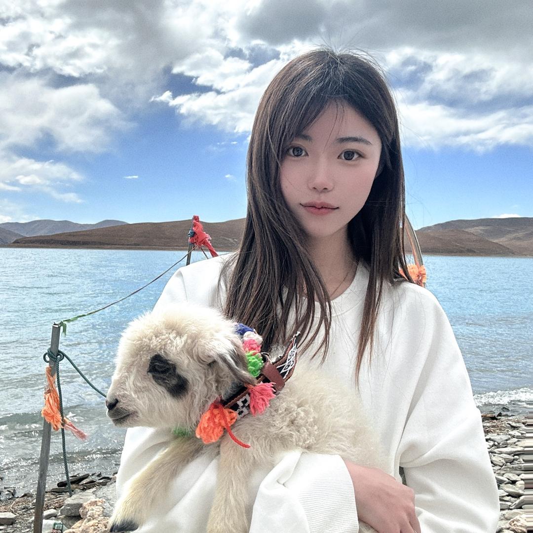 风禾尽起_