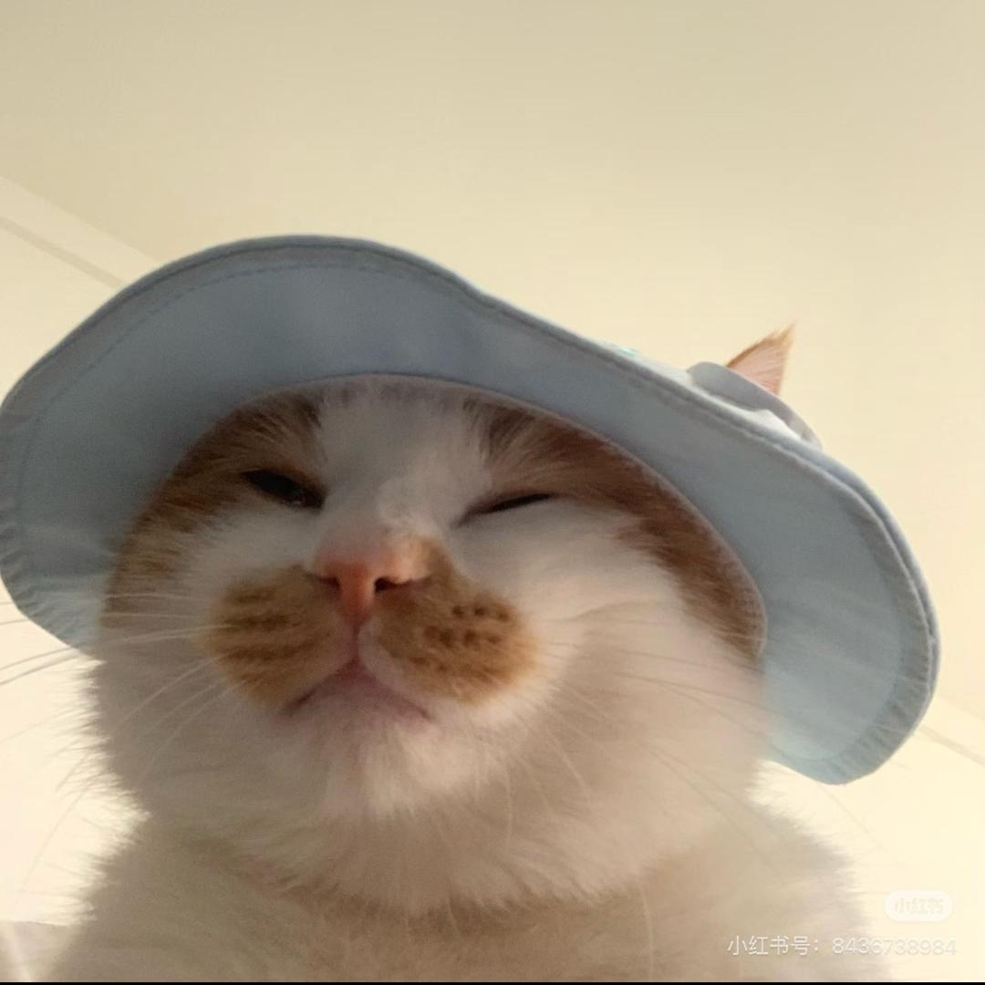 睡觉的时候不太困o