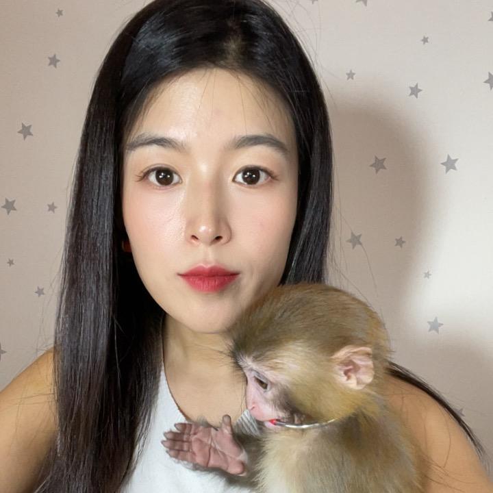 女孩与猴
