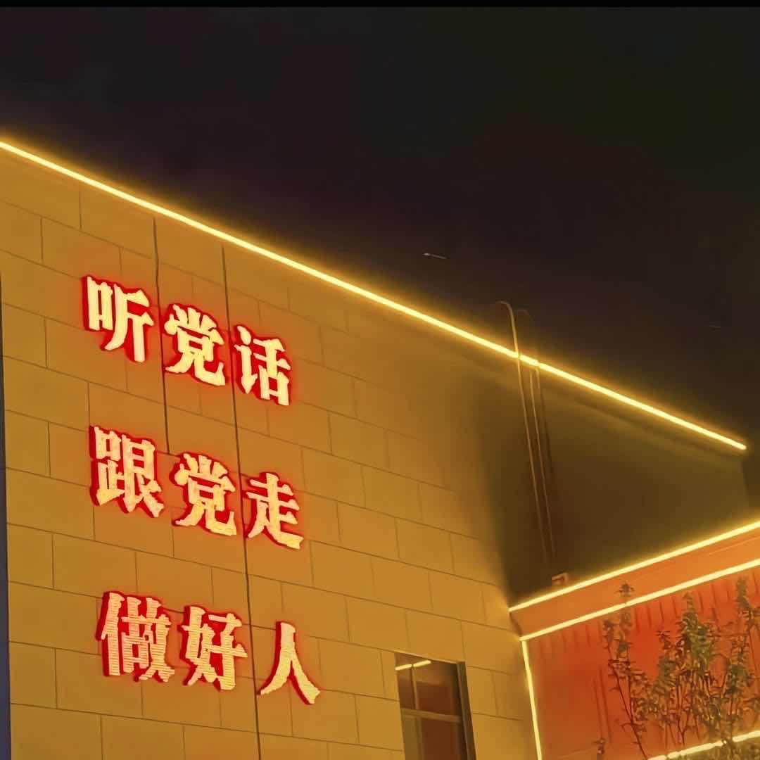 爱国人士