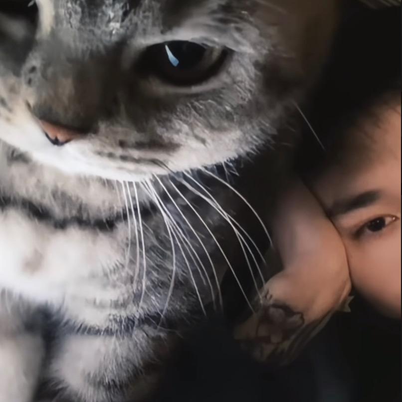 嘟嘟是只喵～