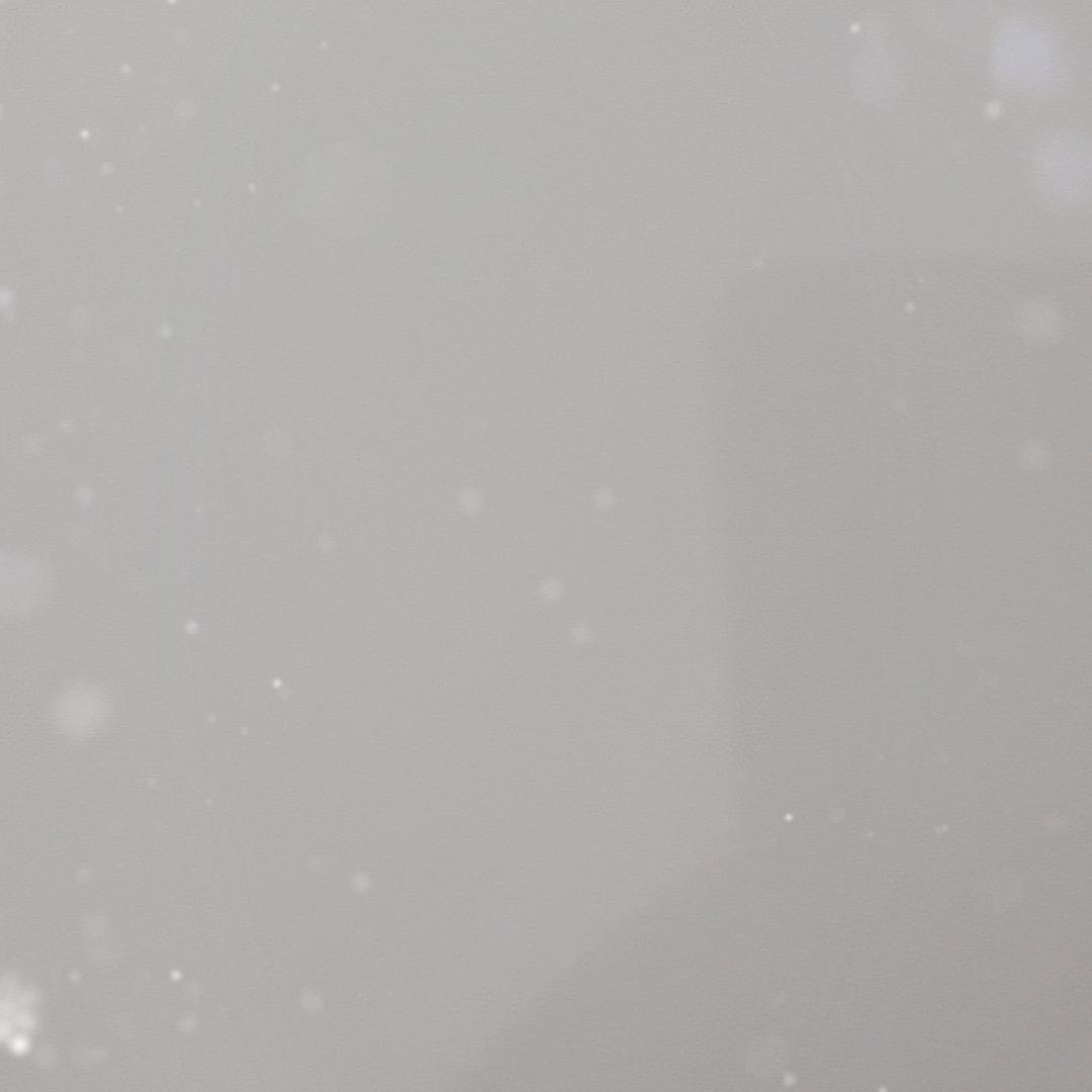 小明同学扛大旗