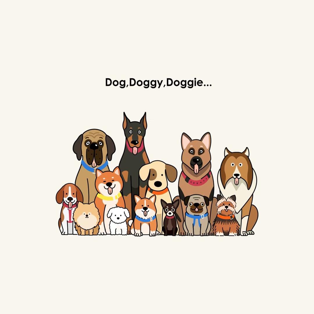 大拿家的狗子们