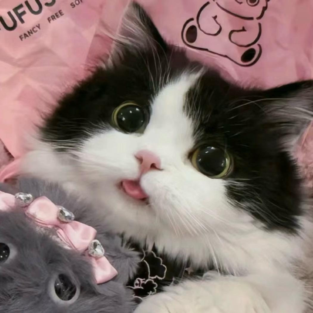 𝙀𝙇𝘾𝙊𝙉💗