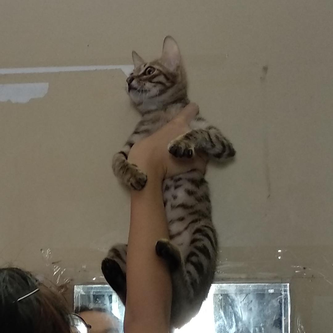 拾七的DD