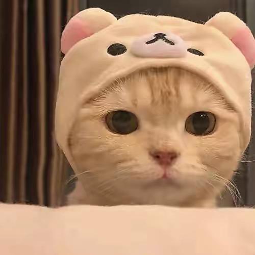狗狗潮玩