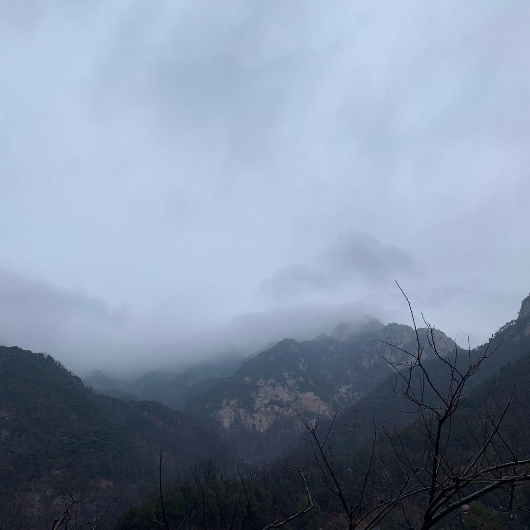 智圆行方