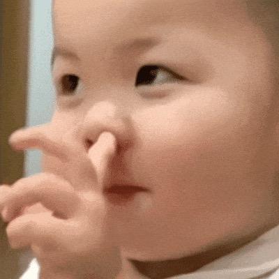 叶子逍遥自在