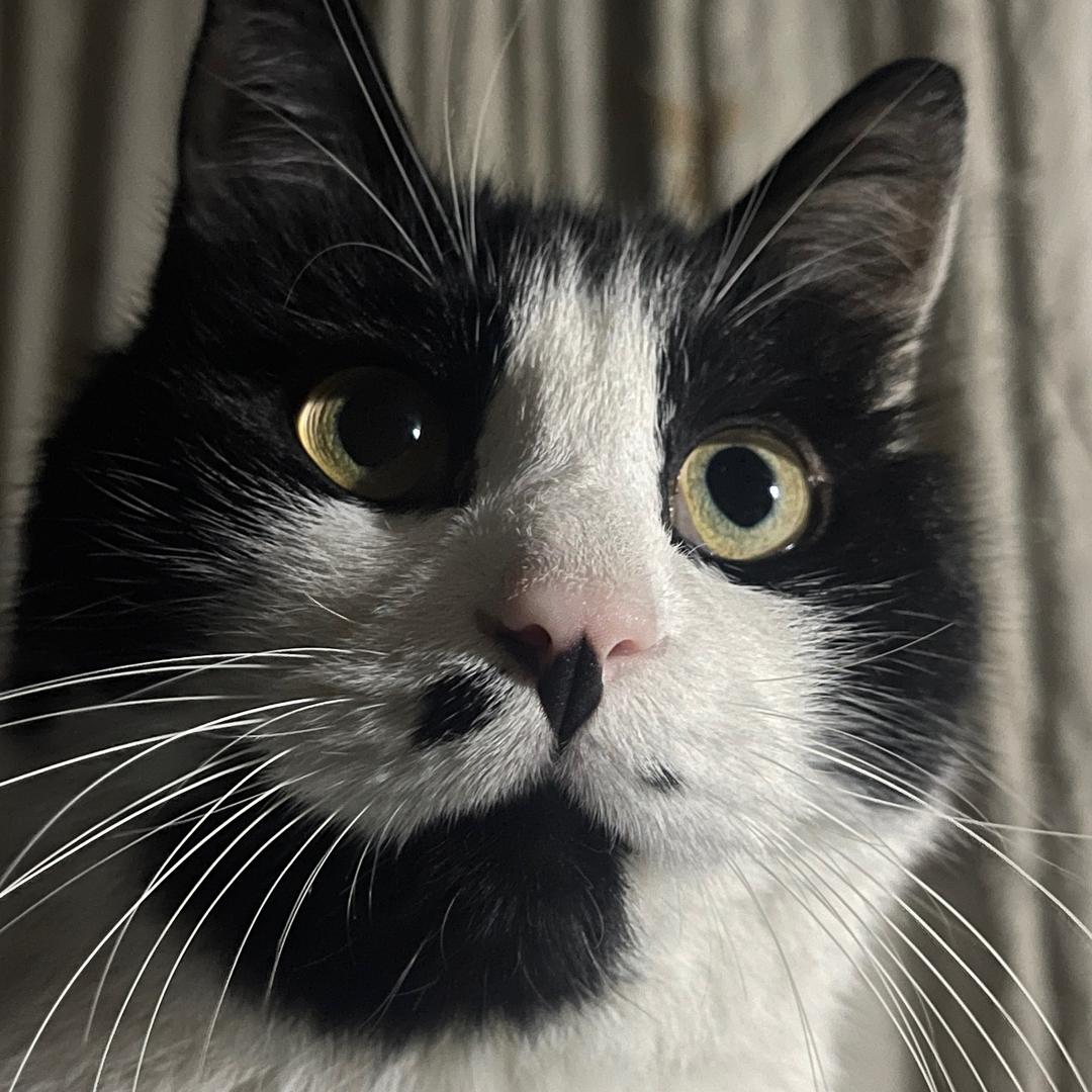 张弛有度💞韩情脉脉